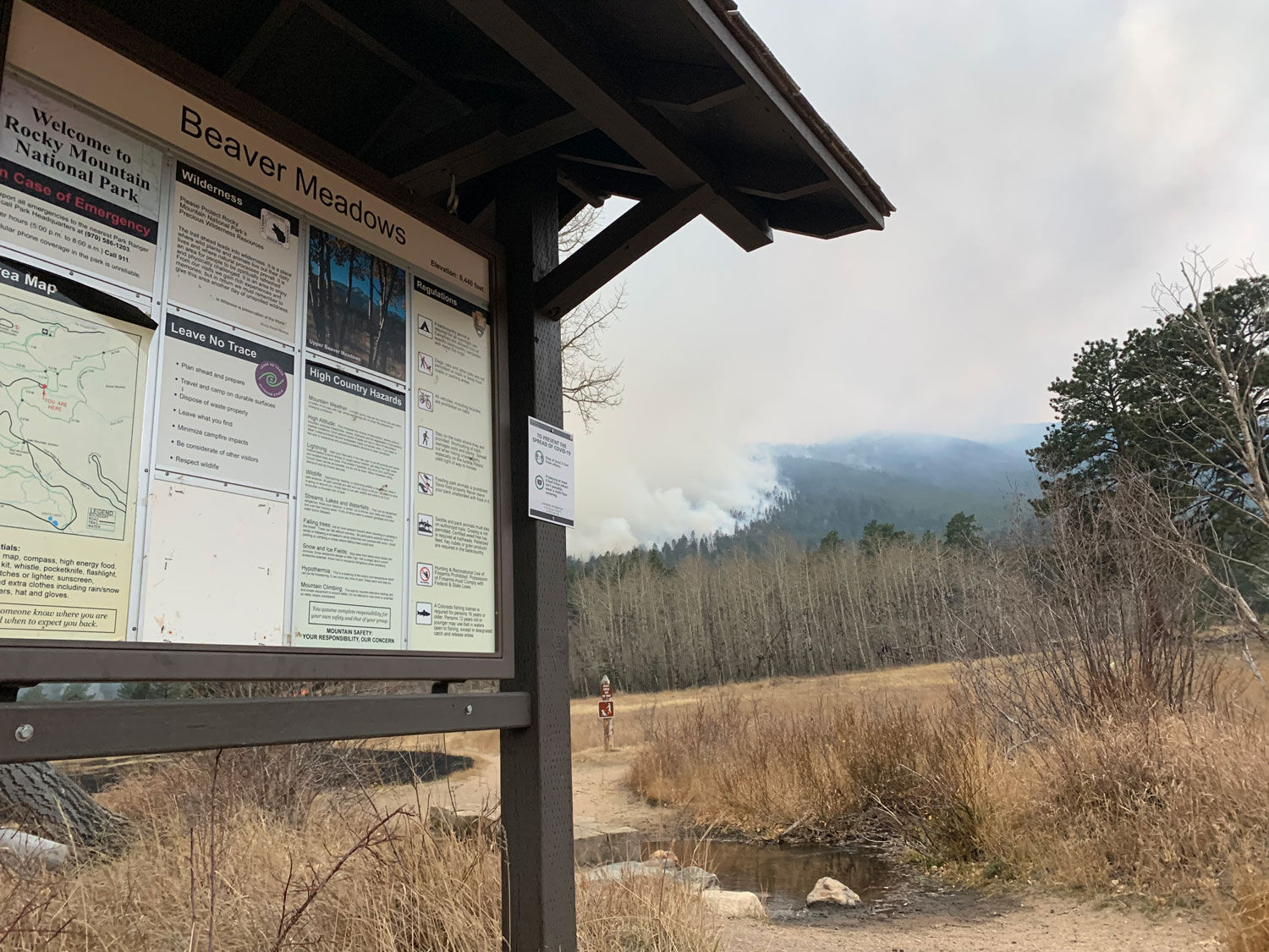 Upper Beaver Meadows Fire